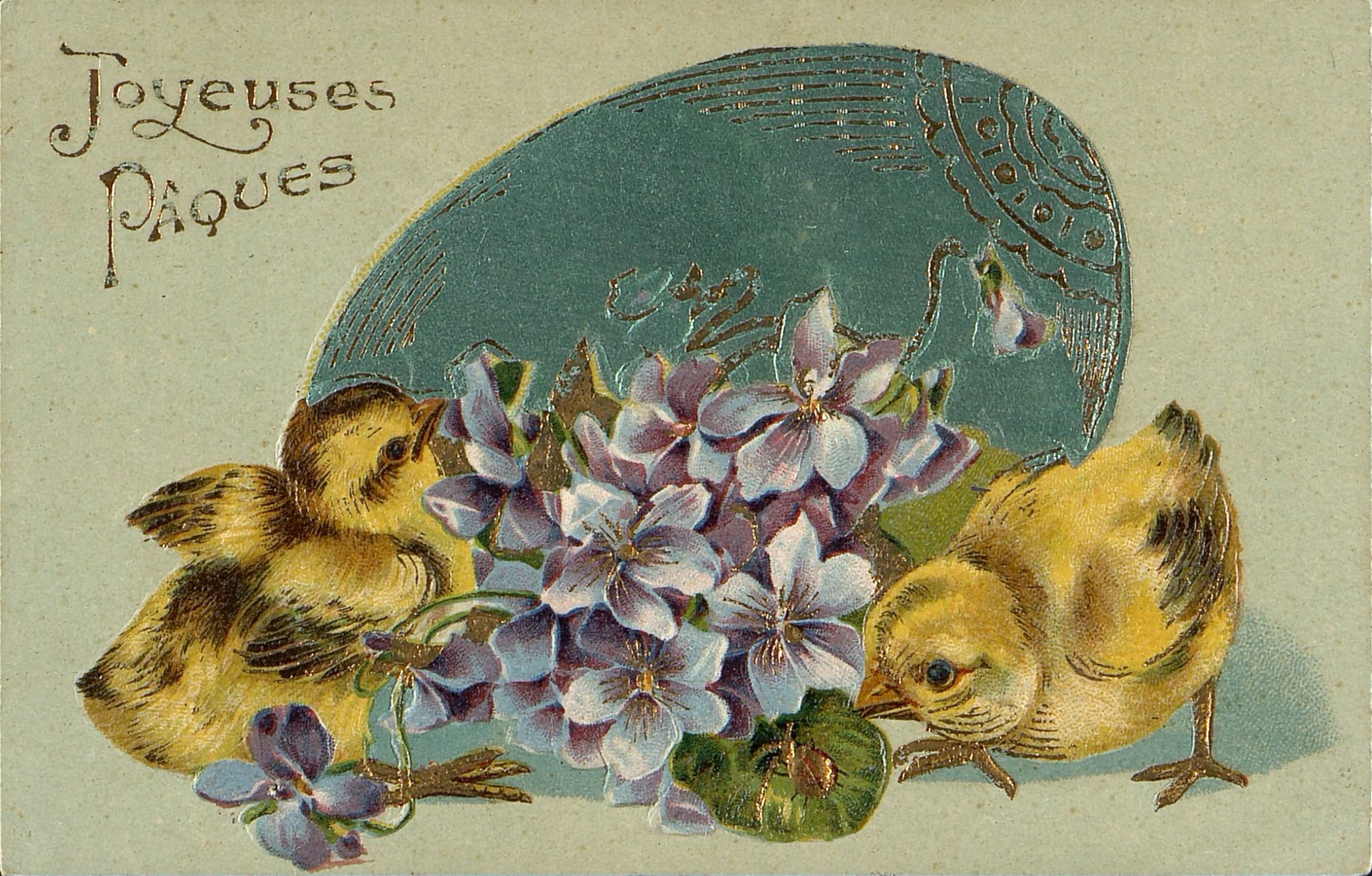 Arch. dép. du Loiret, 11 Fi 8556