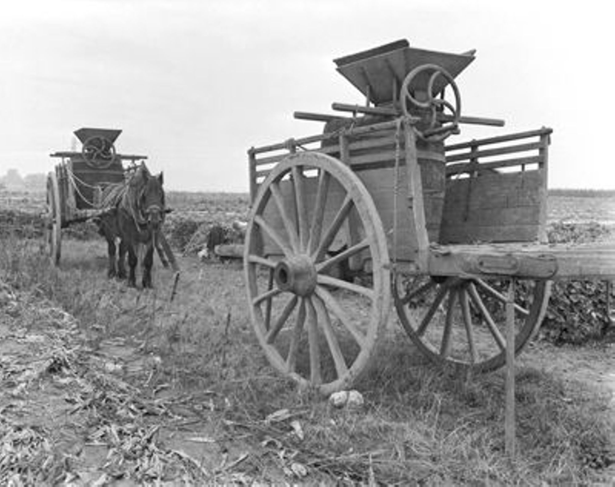 Agriculture et environnement