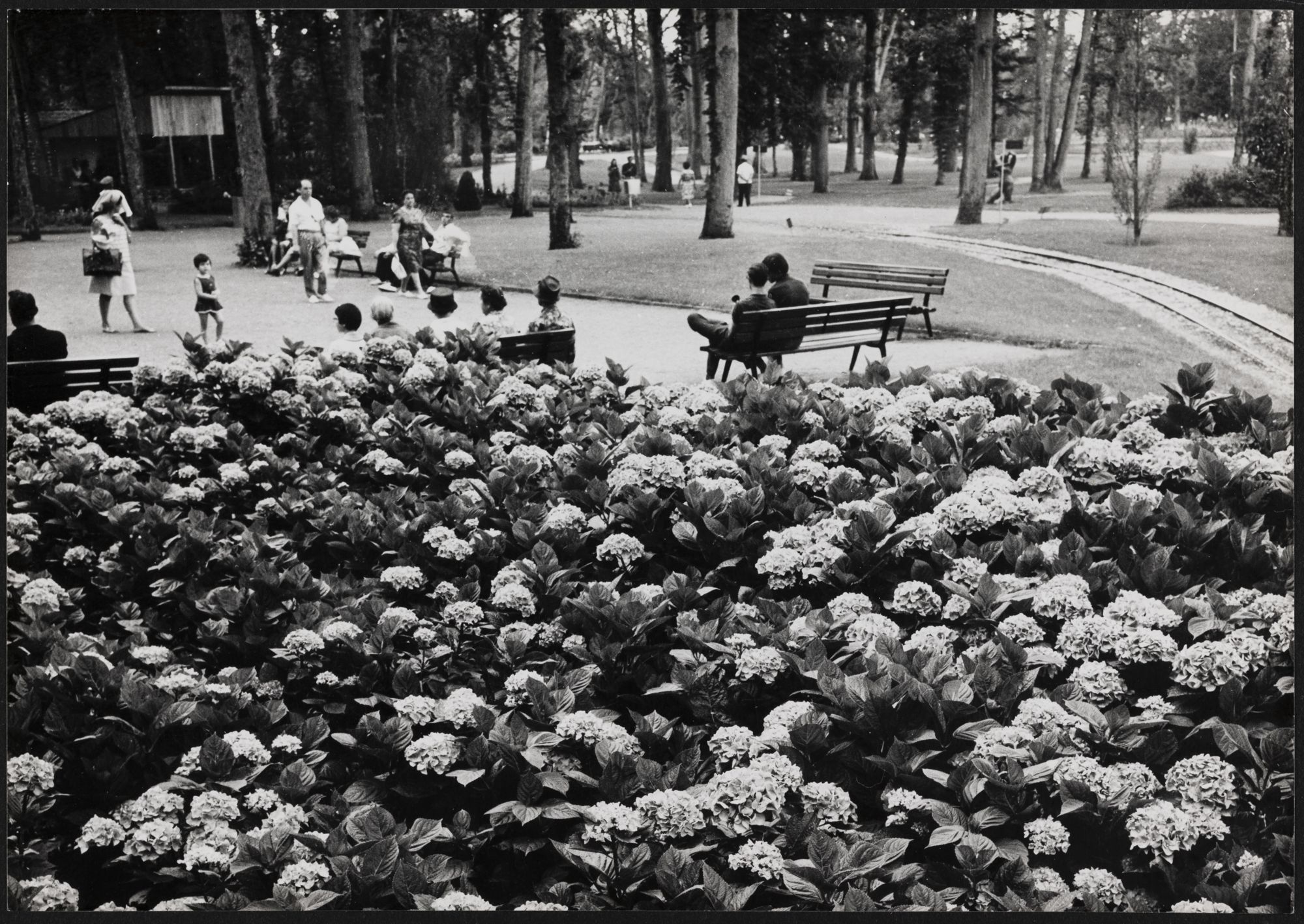 Promenade dans le parc floral d'Orléans 