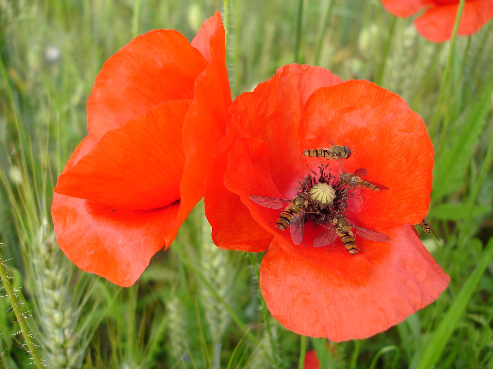 Conférence : Archiver la vie