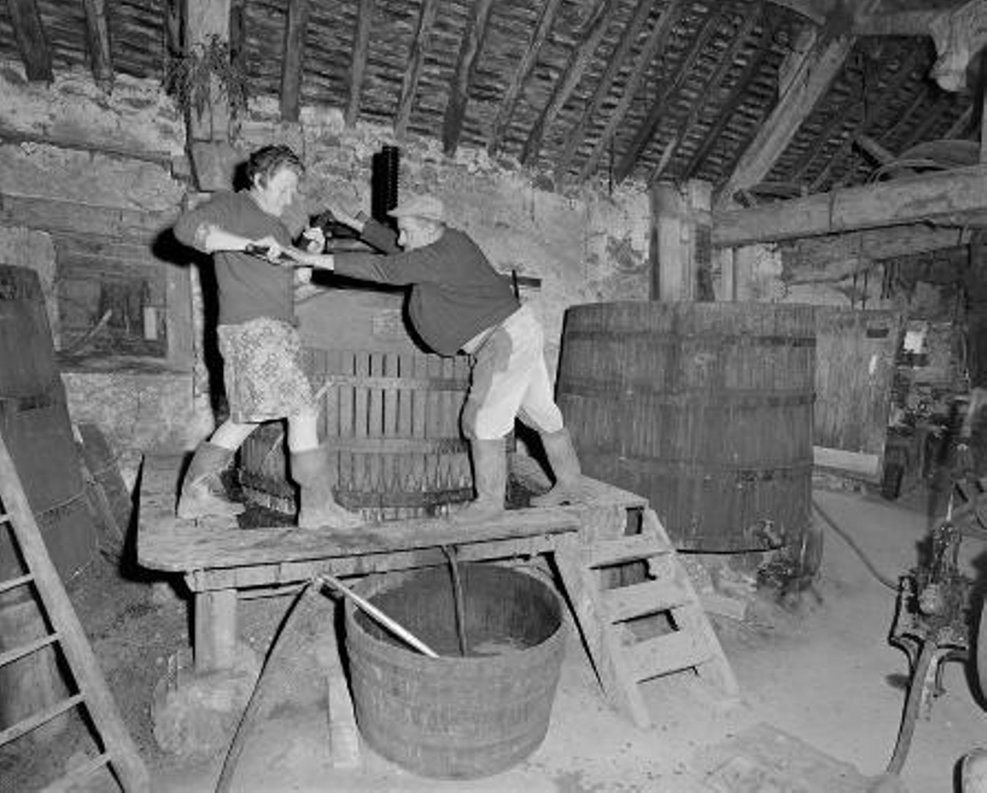 Baule, vendanges chez M. Clément. (octobre 1973)
