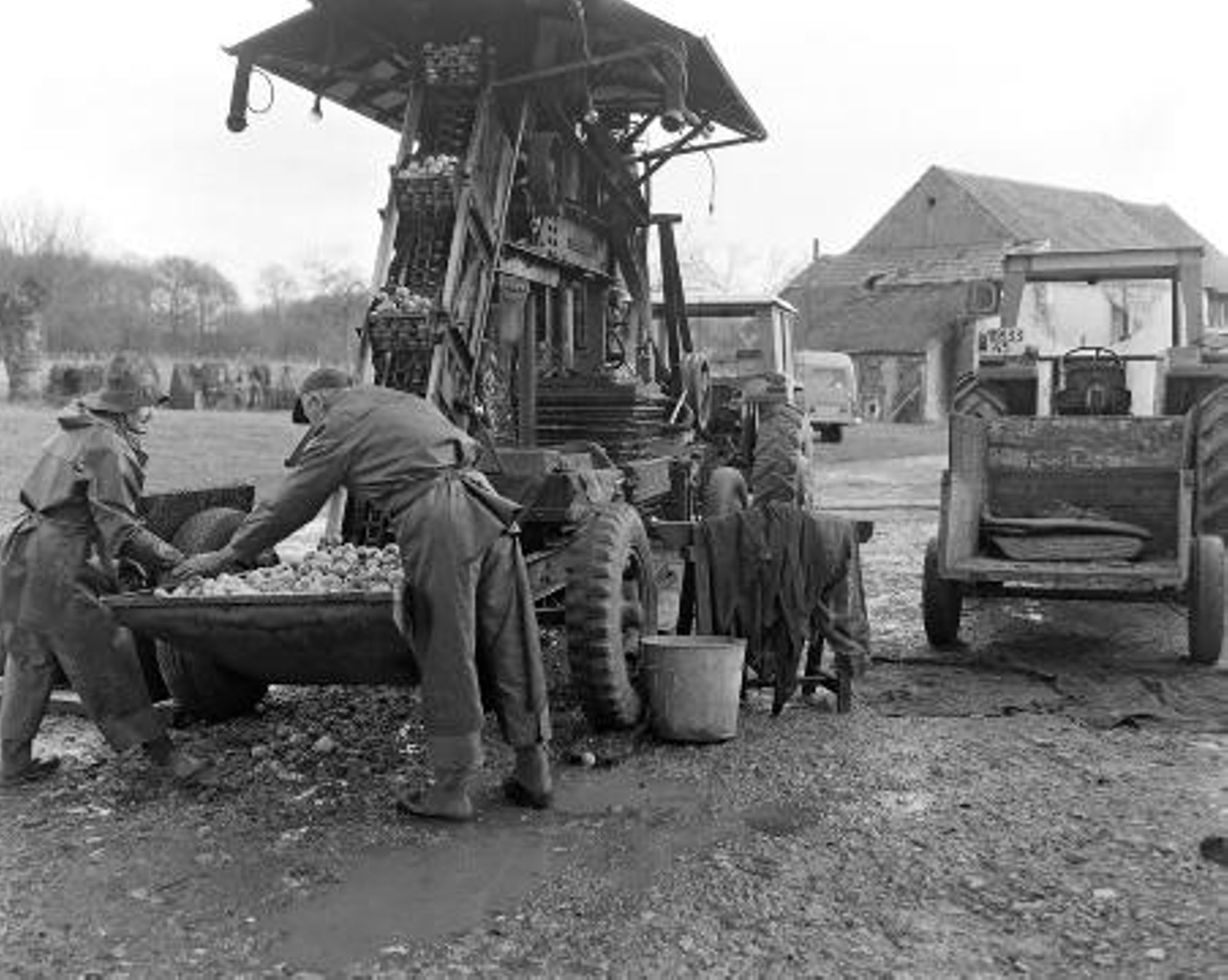 Amilly, M. Berruet, cidrier. (décembre 1979)