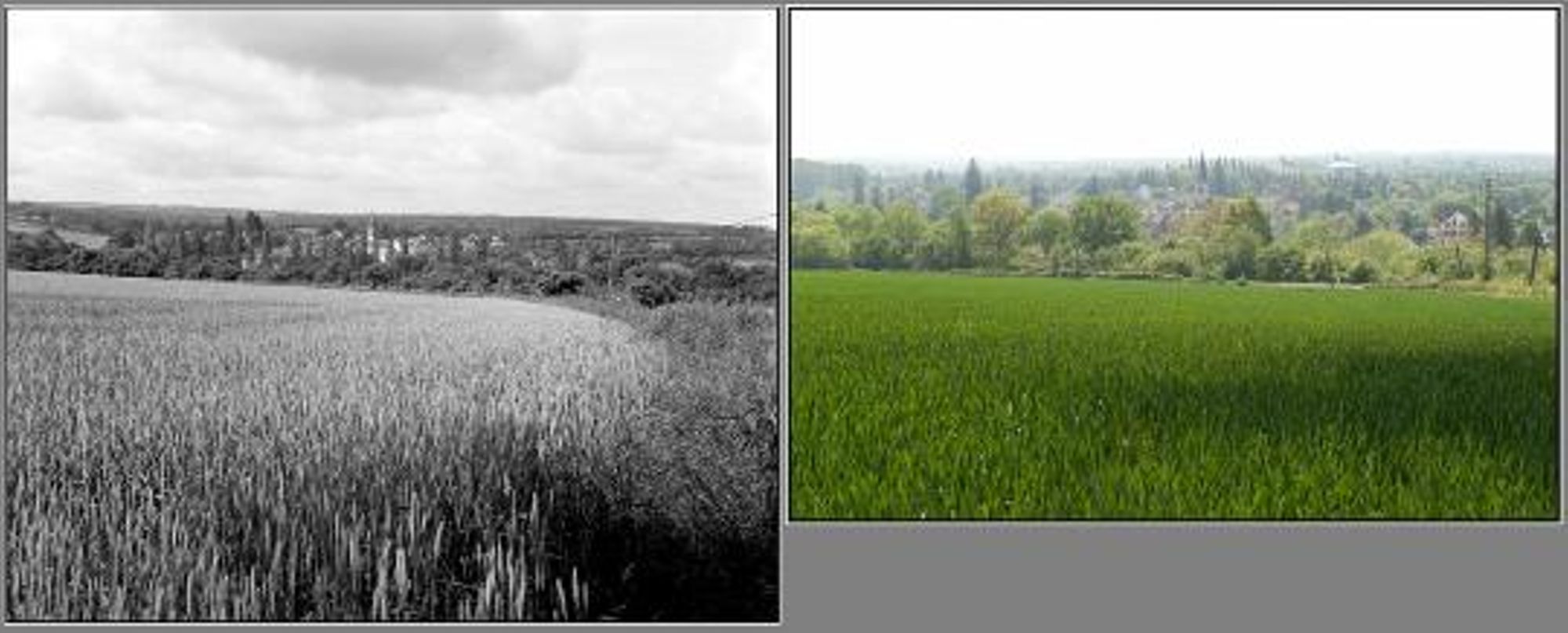 Cernoy-en-Berry, vue générale. (juin 1980 / avril 2011)