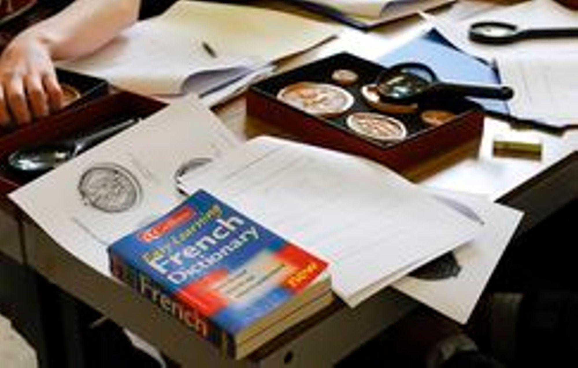 Les activités interdisciplinaires