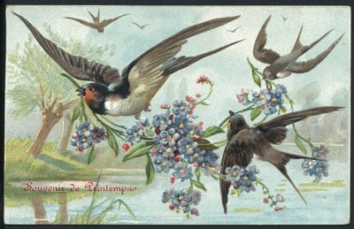 Carte postale « souvenir de printemps » évoquant la période des fleurs